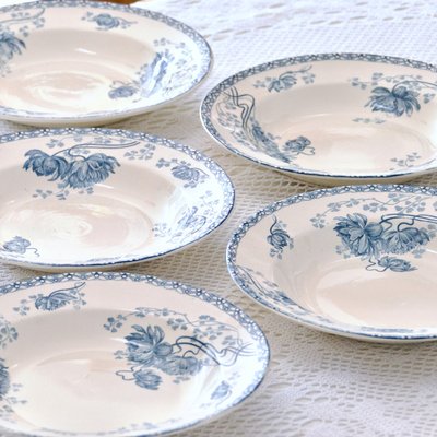 Antique St Amand Plates, 1890s, Set of 5-SHG-2028102