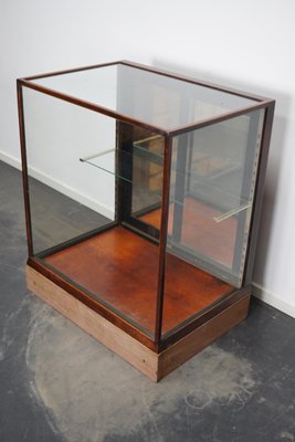 Antique Victorian Mahogany Shop Display Cabinet-XO-1179535