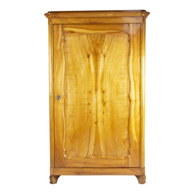 Antique Viennese Biedermeier Wardrobe in Cherrywood-WFJ-1332479