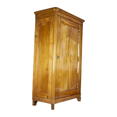 Antique Viennese Biedermeier Wardrobe in Cherrywood-WFJ-1332479