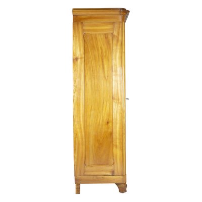 Antique Viennese Biedermeier Wardrobe in Cherrywood-WFJ-1332479