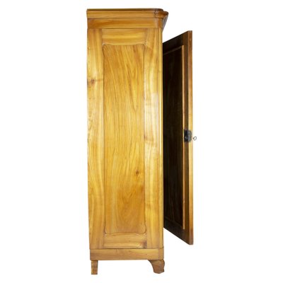 Antique Viennese Biedermeier Wardrobe in Cherrywood-WFJ-1332479