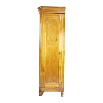 Antique Viennese Biedermeier Wardrobe in Cherrywood-WFJ-1332479