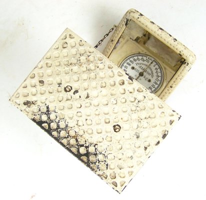 Antique White Scale, 1900s-TZ-1394194