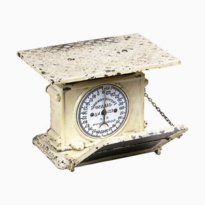 Antique White Scale, 1900s-TZ-1394194