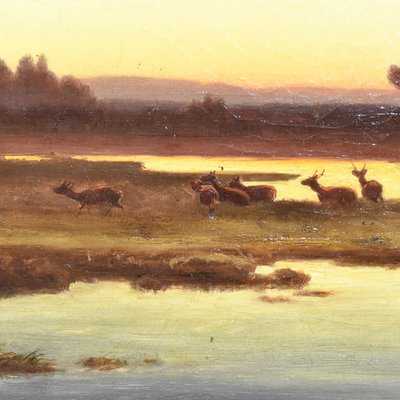 Anton Zwengauer, Landscape at Sunset with Deer, 19th Century, Oil on Canvas, Framed-YVI-1811591