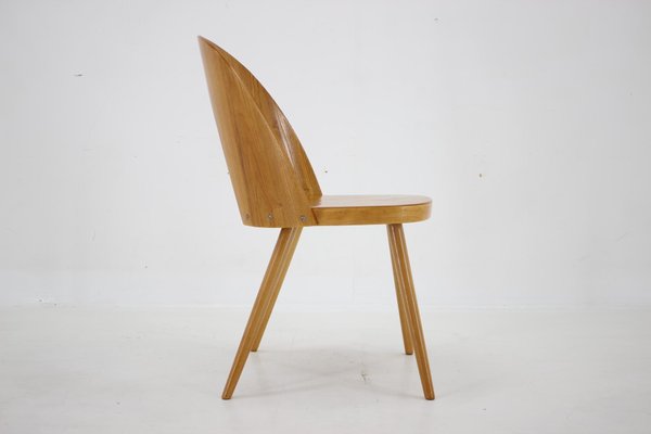 Antoni Suman Chair in Walnut, Czechoslovakia, 1960s-TZ-1724418