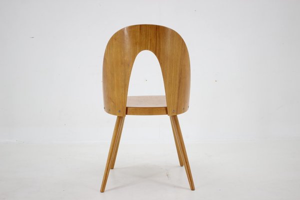 Antoni Suman Chair in Walnut, Czechoslovakia, 1960s-TZ-1724418