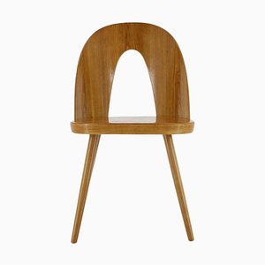 Antoni Suman Chair in Walnut, Czechoslovakia, 1960s-TZ-1724418