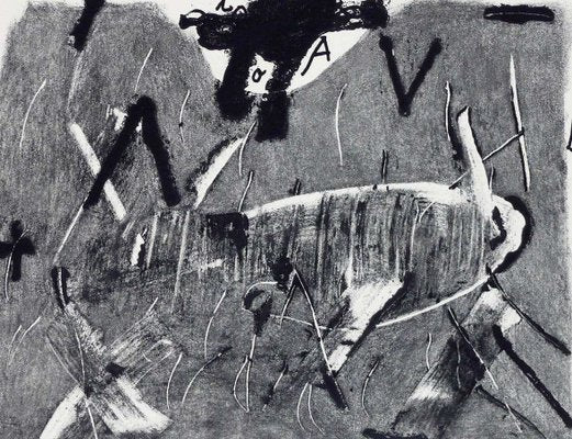 Antoni Tàpies, Lletres i Gris, 1976, Etching-WM-1385037