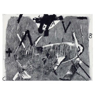 Antoni Tàpies, Lletres i Gris, 1976, Etching-WM-1385037