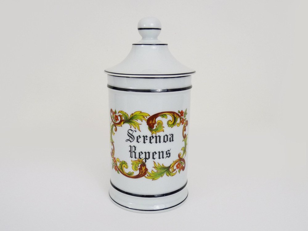 Apothecary Jar in Earthenware from Limoges France, 1960s