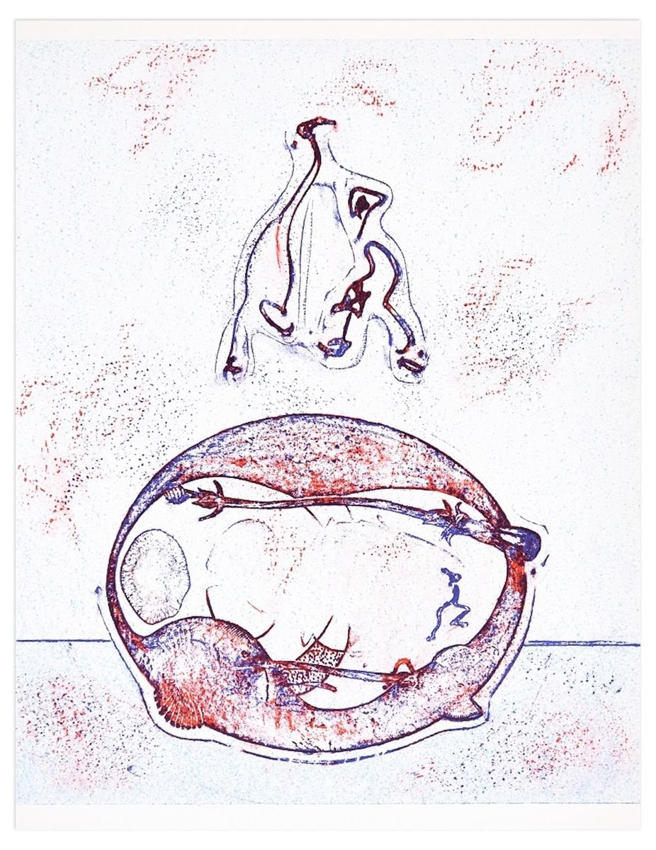 Après-moi le XX° siècle - Original Lithograph by Max Ernst - 1971 1971