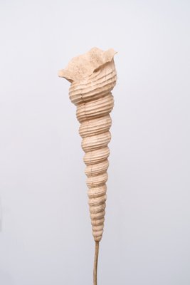 Ariell Seashell Floor Lamp, 1980s-GCG-1131178