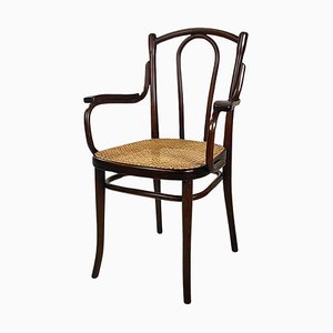 Armchair in Wood and Vienna Straw from Thonet, Austria, 1900s-GDD-1776513