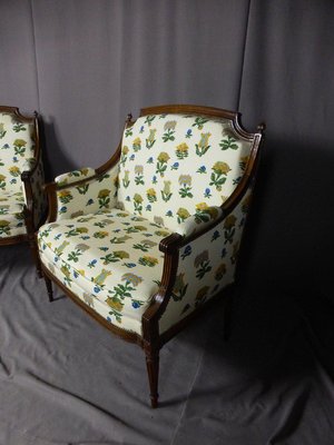 Armchairs, 19th-Century, Set of 2-WSV-861013