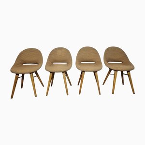 Armchairs by Miroslav Navratil, Set of 4-QJA-1327838