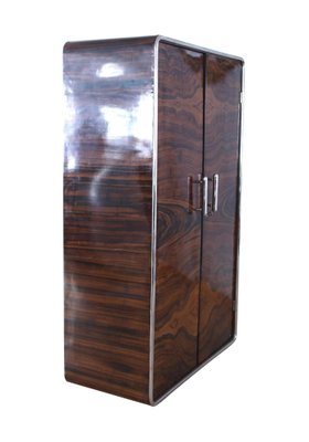 Art Deco Armoire, Palisander Optic, Steel Tube and Chrome, Czech, circa 1930-NNB-588182