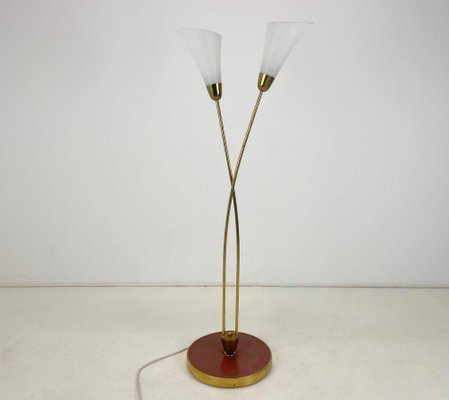 Art Deco Brass Floor Lamp, 1930s-TZ-1353345