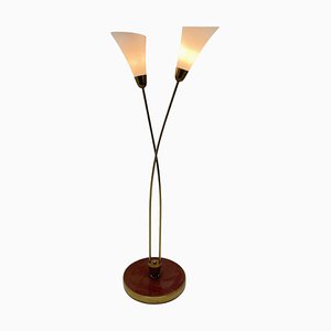 Art Deco Brass Floor Lamp, 1930s-TZ-1353345