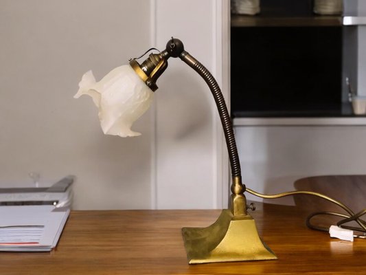 Art Deco Goose Neck Table Lamp in Brass and Frosted Glass from General Electric, 1930s-SCS-1450088