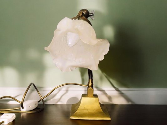 Art Deco Goose Neck Table Lamp in Brass and Frosted Glass from General Electric, 1930s-SCS-1450088