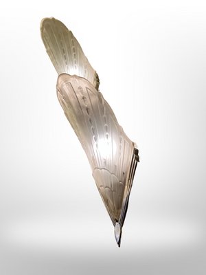 Art Deco Peacock Feather Sconces from Établissements Jean Gauthier, 1930, Set of 2-XGK-1783573