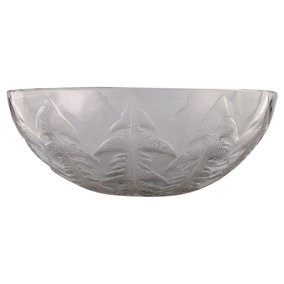 Art Deco Pissenlit Bowl in Clear Art Glass by René Lalique, 1930s