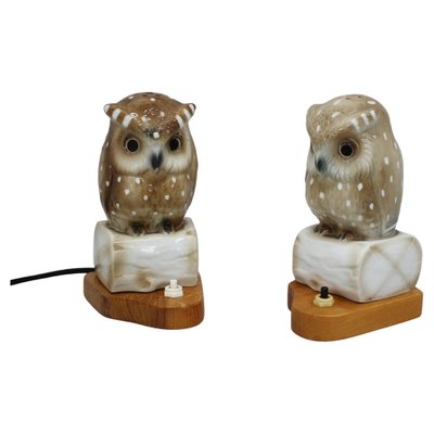 Art Deco Porcelain Owl Table Lamps, Czechoslovakia, 1930s, Set of 2-TZ-1269890