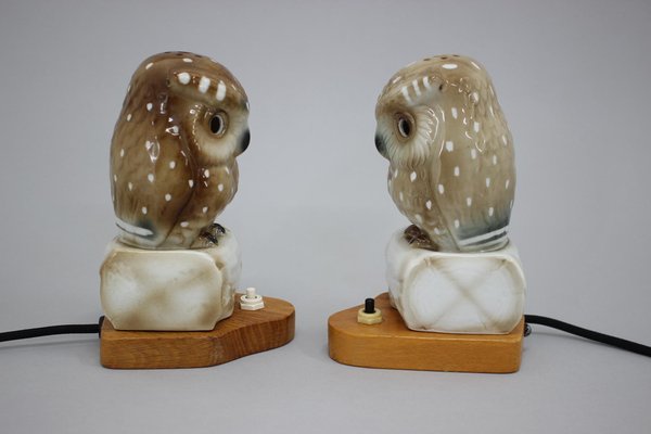 Art Deco Porcelain Owl Table Lamps, Czechoslovakia, 1930s, Set of 2-TZ-1269890