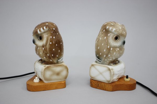 Art Deco Porcelain Owl Table Lamps, Czechoslovakia, 1930s, Set of 2-TZ-1269890