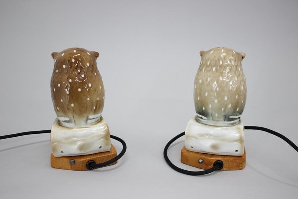 Art Deco Porcelain Owl Table Lamps, Czechoslovakia, 1930s, Set of 2-TZ-1269890