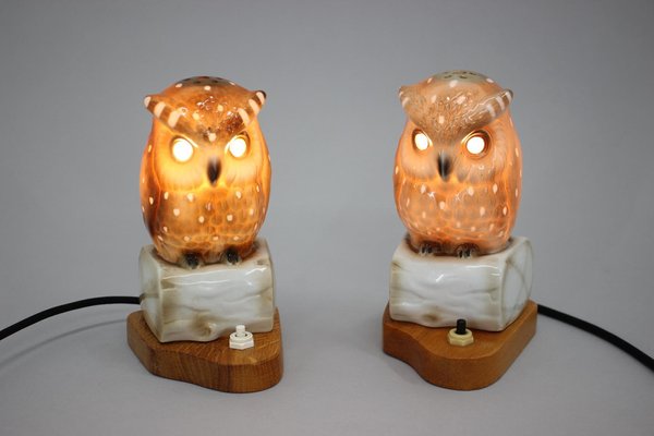 Art Deco Porcelain Owl Table Lamps, Czechoslovakia, 1930s, Set of 2-TZ-1269890