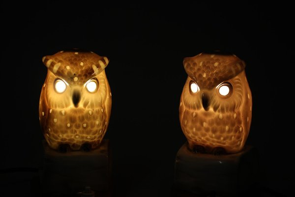 Art Deco Porcelain Owl Table Lamps, Czechoslovakia, 1930s, Set of 2-TZ-1269890