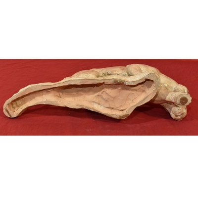 Art Déco Sculpture, Little Panther, 20th-Century, Terracotta-YVI-845573