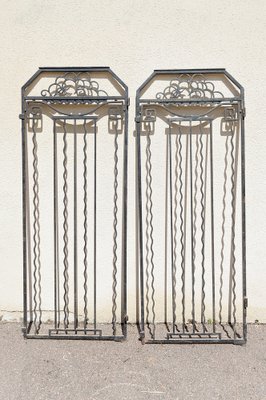 Art Deco Wrought Iron Doors, 1920s, Set of 2-XNH-1804476