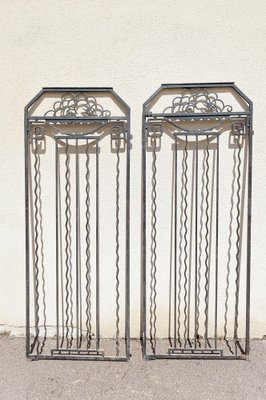 Art Deco Wrought Iron Doors, 1920s, Set of 2-XNH-1804476