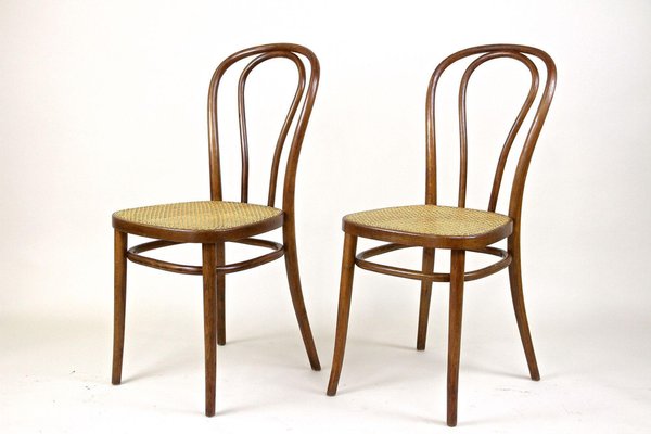 Art Nouveau Bentwood Chairs No. 14, Austria, 1890s, Set of 2-TQA-1401613