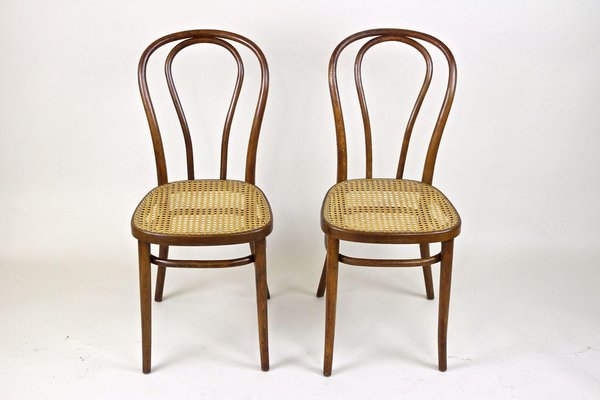 Art Nouveau Bentwood Chairs No. 14, Austria, 1890s, Set of 2-TQA-1401613