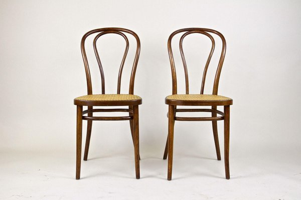 Art Nouveau Bentwood Chairs No. 14, Austria, 1890s, Set of 2-TQA-1401613