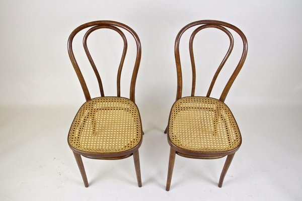 Art Nouveau Bentwood Chairs No. 14, Austria, 1890s, Set of 2-TQA-1401613