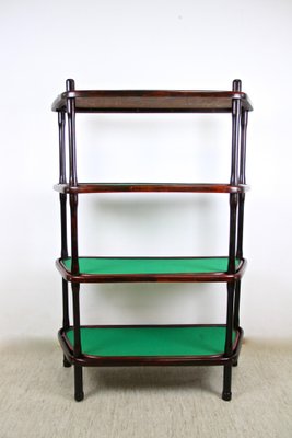 Art Nouveau Bentwood Shelf by Thonet, Austria, 1905-TQA-1322098