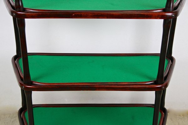 Art Nouveau Bentwood Shelf by Thonet, Austria, 1905-TQA-1322098