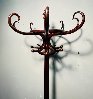 Art Nouveau Brown Beech Coat Rack-NUO-1285512