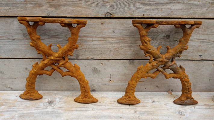 Art Nouveau Cast Iron Bench Legs with Decoration, Set of 2-STK-1985706