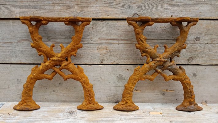 Art Nouveau Cast Iron Bench Legs with Decoration, Set of 2-STK-1985706