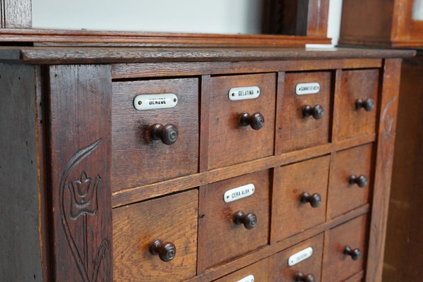 Art Nouveau Dutch Oak Apothecary Cabinets, 1904, Set of 2-XO-2028591