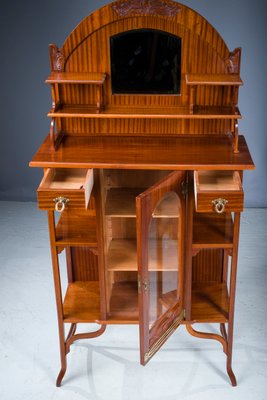 Art Nouveau Mahogany Display Cabinet-ZZH-1335479