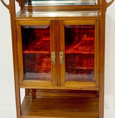 Art Nouveau Mahogany Display Cabinet-FGA-922746