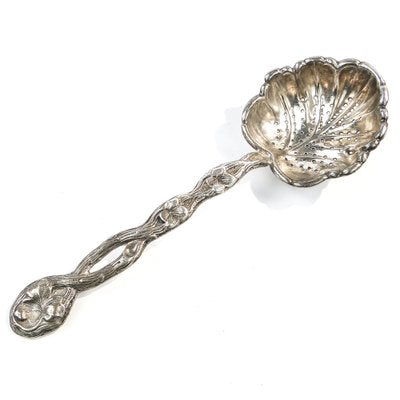 Art Nouveau Polish Pickling Spoon by Bros. Buch, 1890s